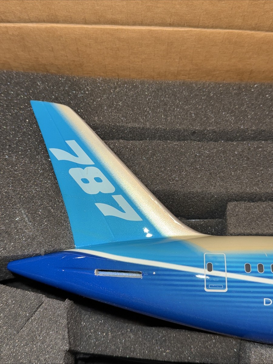 PACMIN BOEING 787-8 DREAMLINER EXECUTIVE 1:100 AIRPLANE NEW | eBay