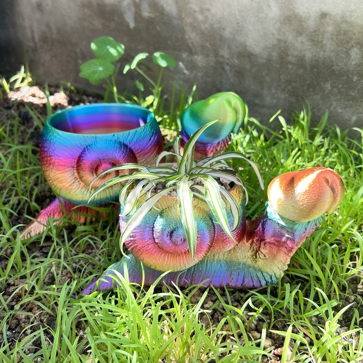 Hen And Chicks Planter Pot Tutle Snail Flowepot, Esin Tutle Snail