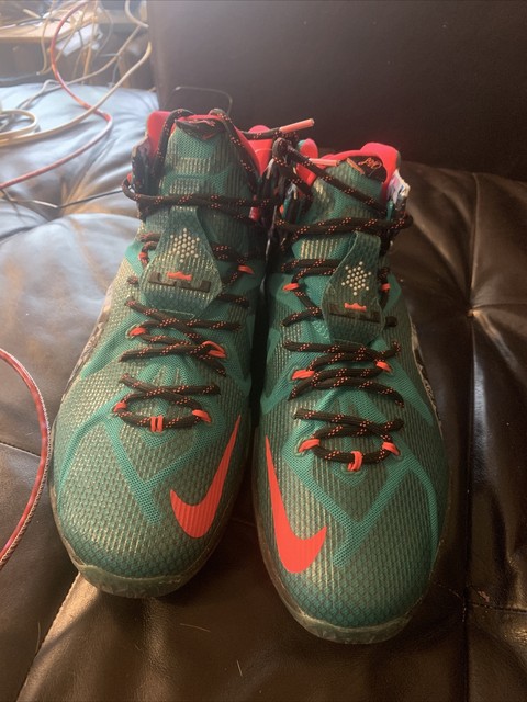 lebron 12 south beach