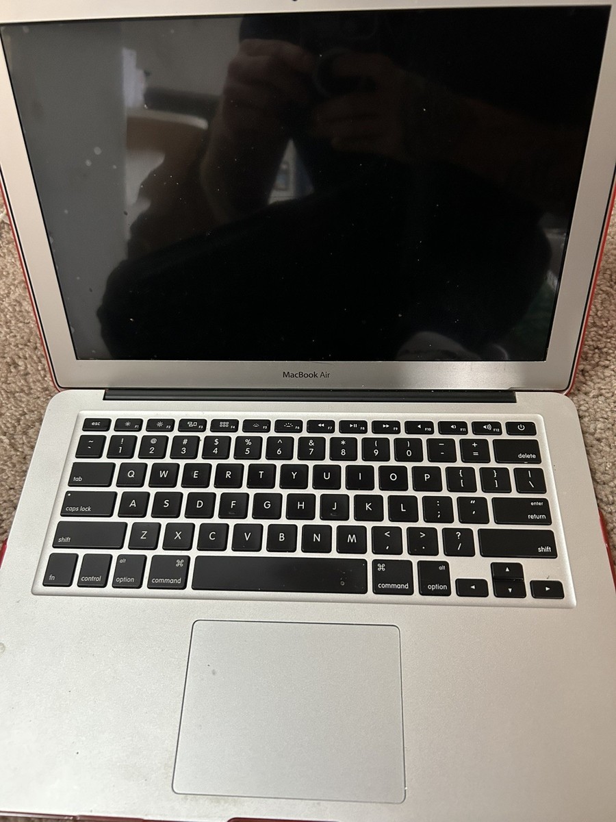 Apple 13