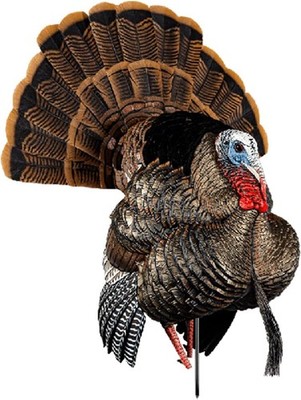 AVIAN-X HDR Strutter Turkey Decoy - Rugged Durable Realistic One Size, Multi 