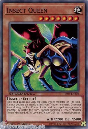 SS03-ENB08 Insect Queen 1st Edition Mint YuGiOh Card - Picture 1 of 1