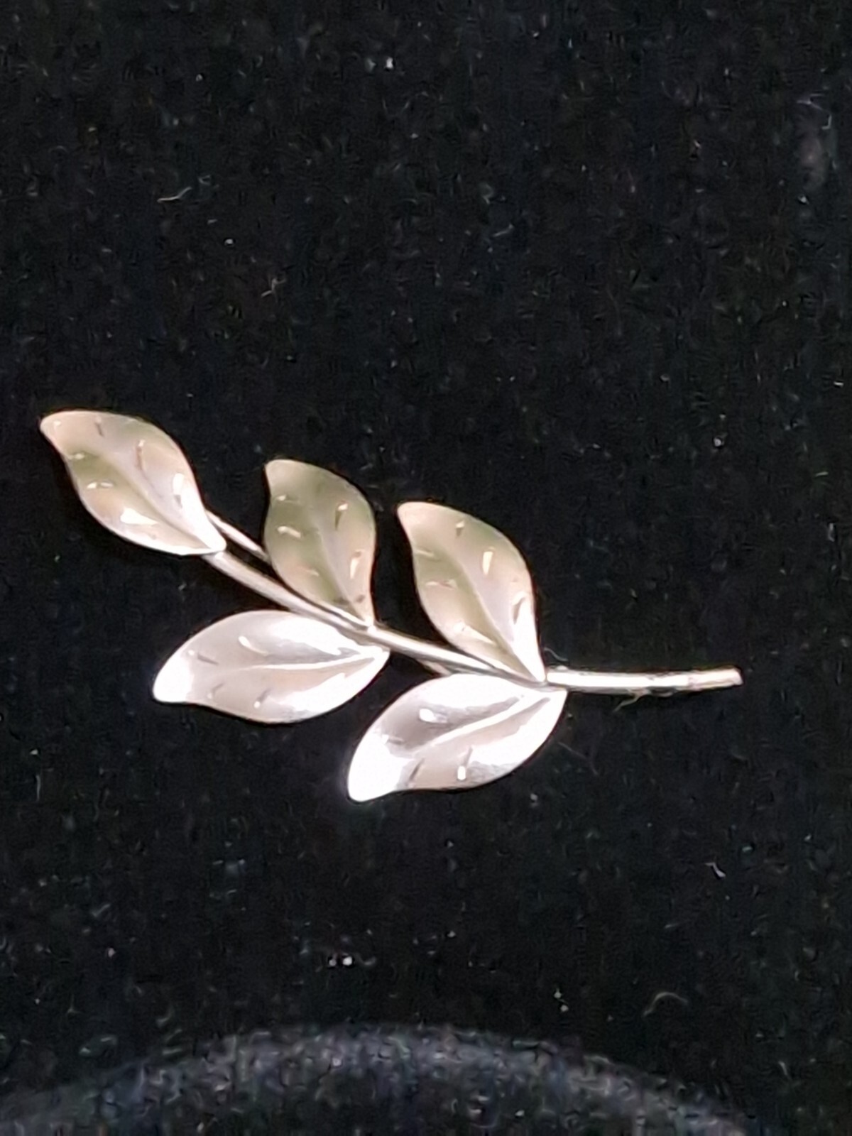 Picture 6 of 6