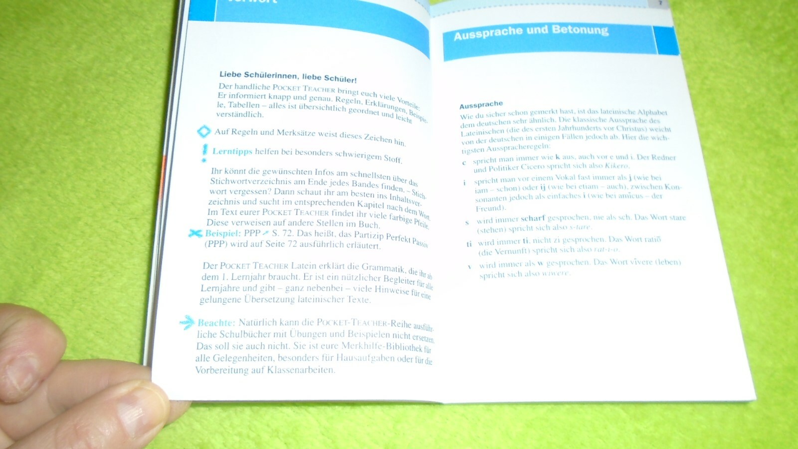 Bild 8 von 12