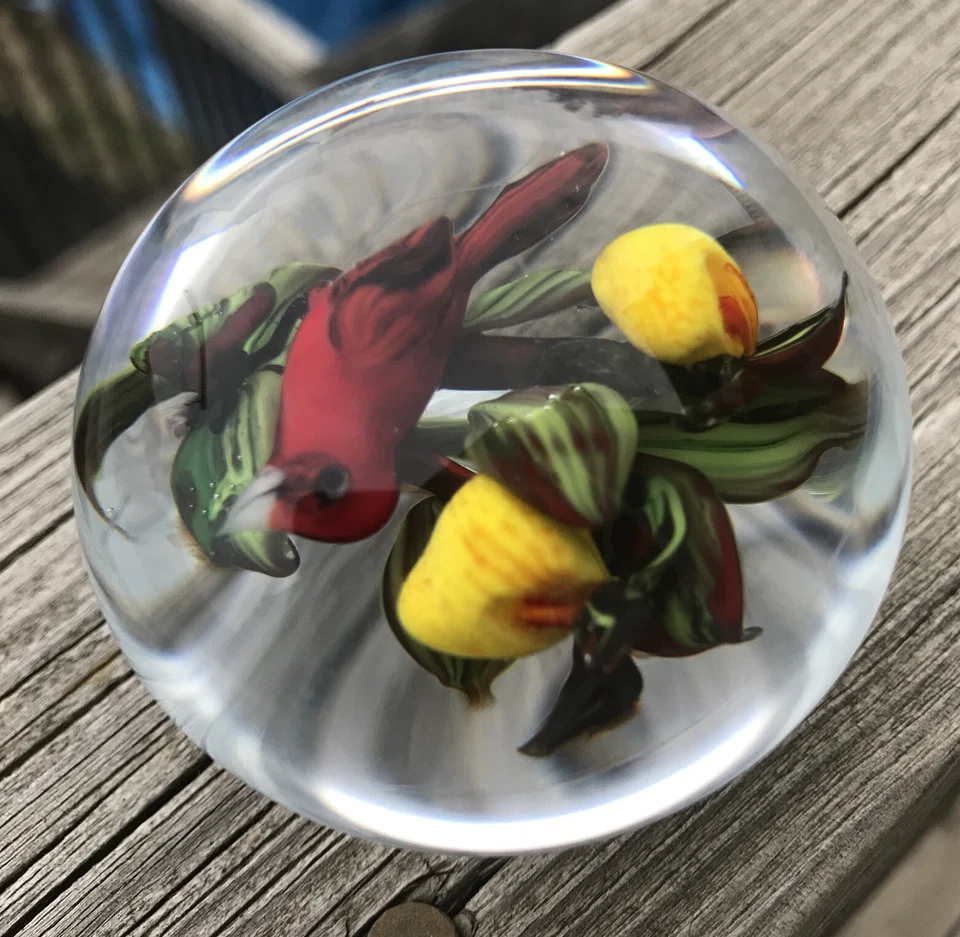 Raro! Peso de papel Rick Ayotte vidro 2,25” assinado 2003 pássaro vermelho colecionável - Imagem 4 de 4