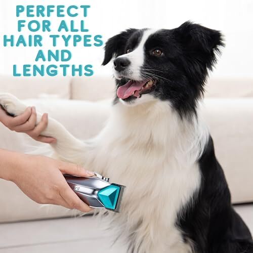 BarberBoss Tosatrici per cani senza fili, Tosatrici per cani, Kit per toelettatu - Foto 6 di 7