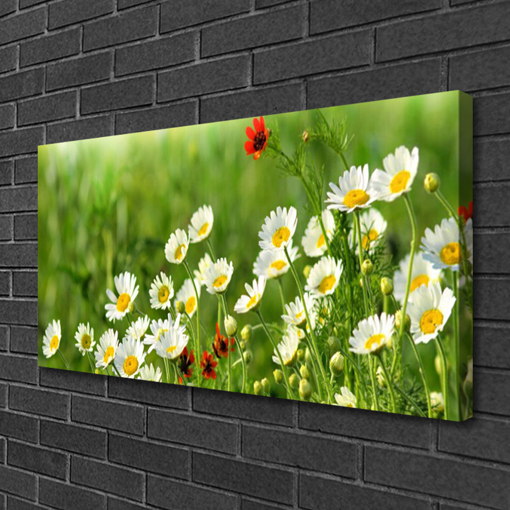 Tableau nature marguerite impression sur toile 100x50 cm panoramique