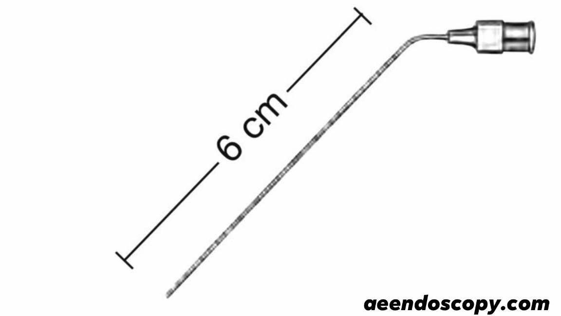 Foto 2 di 2