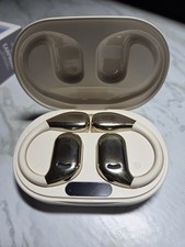 Wireless Earbuds with Language Translation