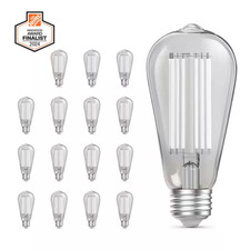 60-Watt Equivalent ST19 Dimmable White Filament Clear Glass E26 Vintage Edison L