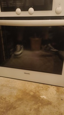 Miele Ofen