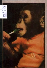 1953 Bowman TV/RADIO STARS OF NBC # 54 J. Fred Muggs NM or Better (101555)