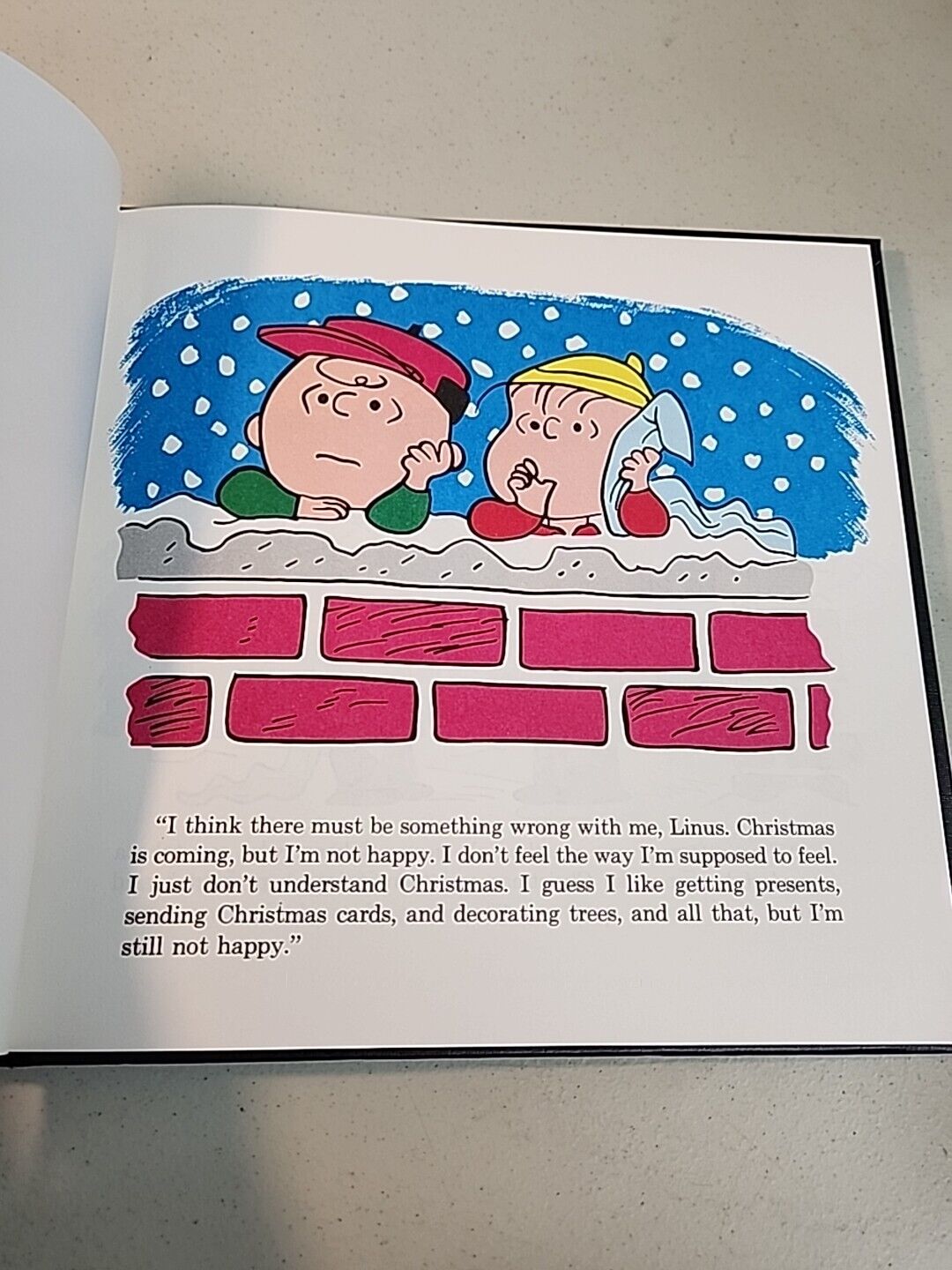 Picture 22 of 22
