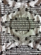 Fire And Light 11” Dinner Plate - Celery