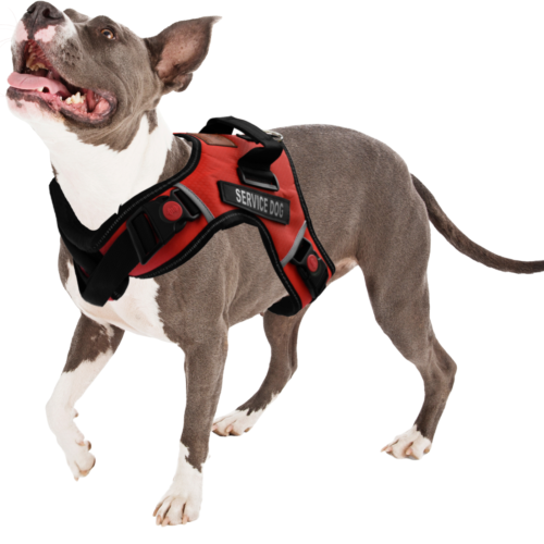Albcorp Reflective Service Dog Vest Harness, with Hook & Loop Removable Patches - 第 35/49 張圖片