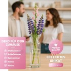 Bild 24 von 50
