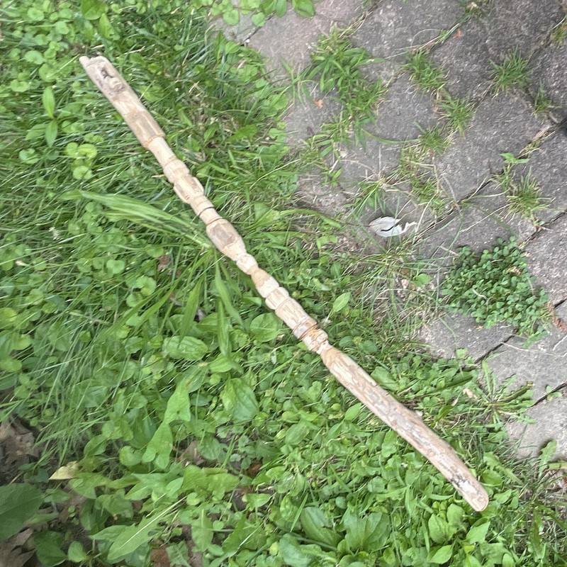 Hand-Carved Wooden Walking Stick Cane w/ Animal Head Handle, Brown, Unisex