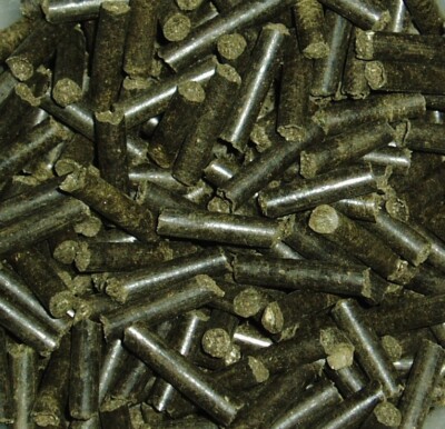 [4,99 /100g] *100g WALNUSS STICKS* Pellets Garnelenfutter Fischfutter Wallnuss