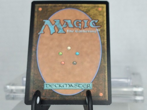 MTG Windswept Heath Khans of Tarkir 248/269 Regular Rare NM/EX - 第 6/8 張圖片