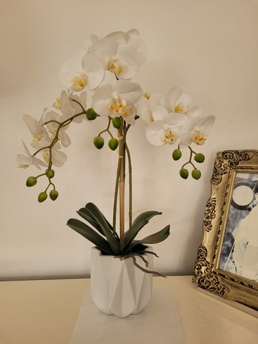 Toyvian Künstliche Orchidee Im Topf – Lebensechte Phalaenopsis, Pflegeleichte Deko Für Zuhause