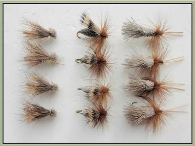 12 Pack Sedge Dries, G&H, Elk and Deer, Choice of Sizes, TroutfliesUK