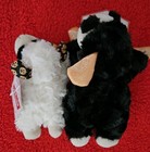 Bild 3 von 3