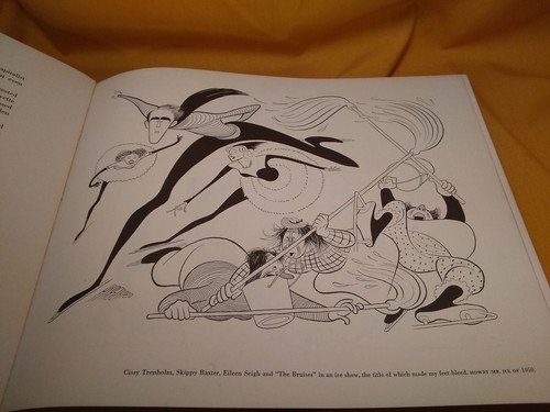 Al Hirschfeld The World of Hirschfeld and The American Theatre 2 book lot - Foto 11 di 24
