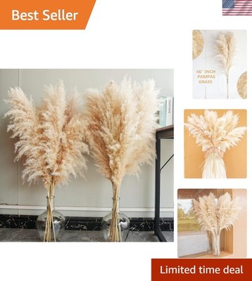 40'' inch 10 Stems Natural Pampas Grass Decor Tall, pompas Grass, Tall Pampas ...