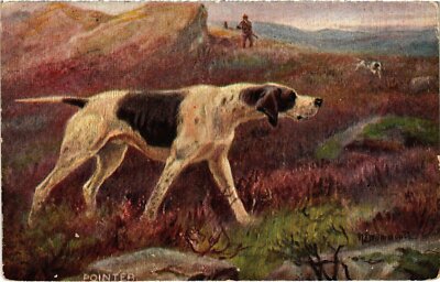 CPA AK Pointer Hunting DOGS (1388178)