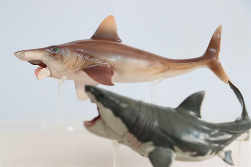 PNSO Helicoprion 43 Figure Animal Shark Model Adult Children Toys Gift Decor - Picture 9 of 17