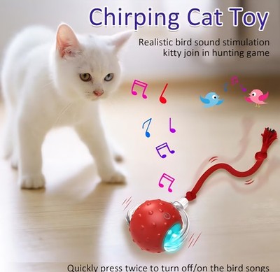Interactive Cat Toy Ball Fast Rolling Chirping Ball for Indoor Cats