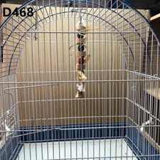 Wooden Chain Parrot Bite Toy Parakeets Cockatiels Toys Parrot Bird Toy 2pcs