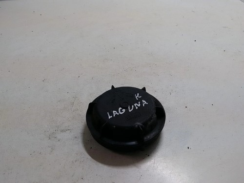 RENAULT LAGUNA II Grandtour KG0/1 Scheinwerferabdeckung 89001811 1.80 28433577