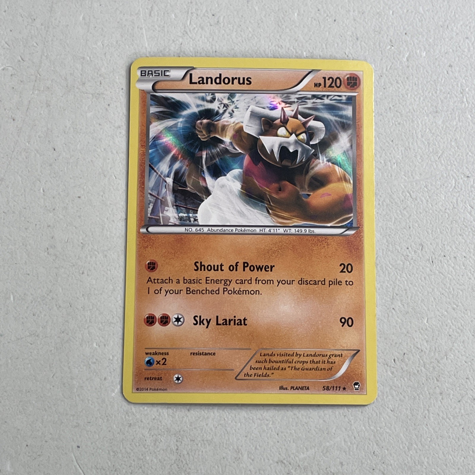 Pokemon TCG 2014 XY Furious Fists Card -- Landorus 58/111 Holo