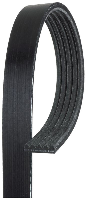 Gates 5PK1510 V-Ribbed Belt Fits Infiniti Mercedes