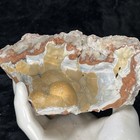 Foto 4 di 8