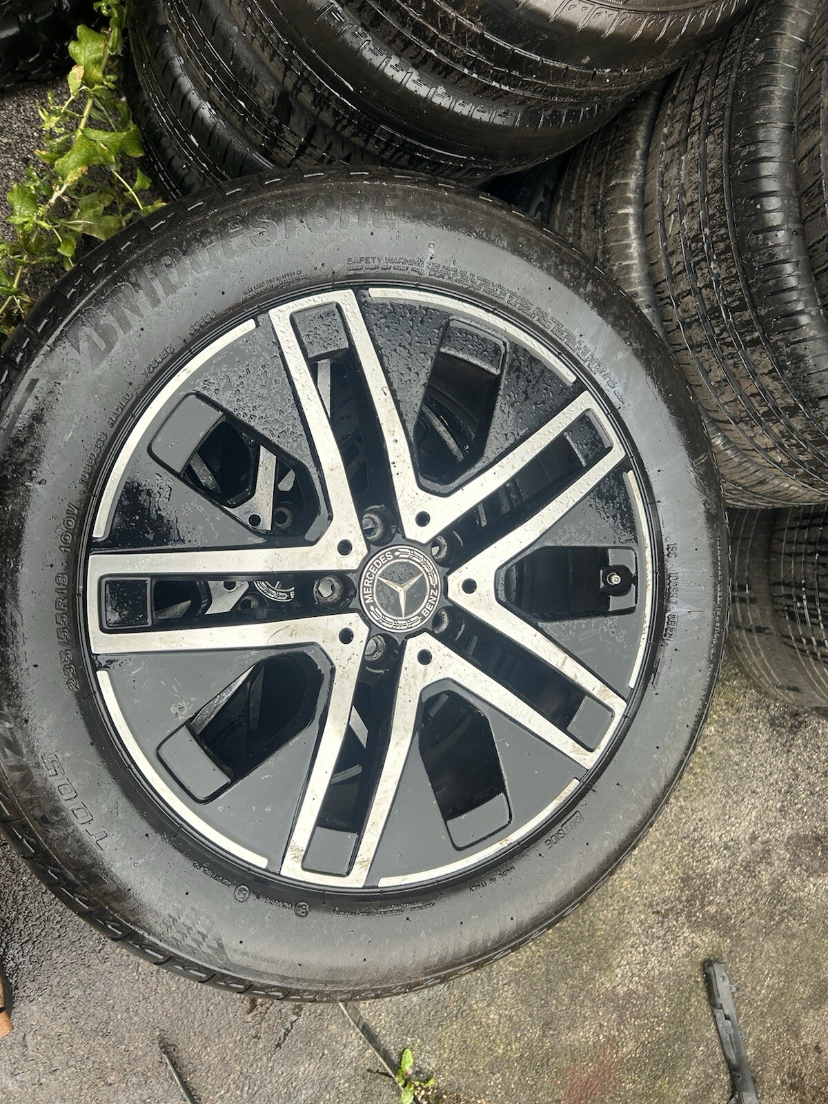 Picture 4 of 5