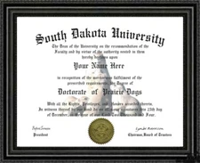 Prairie Dog Lover's Doctorate Diploma / Degree Custom made and Designed for YOU