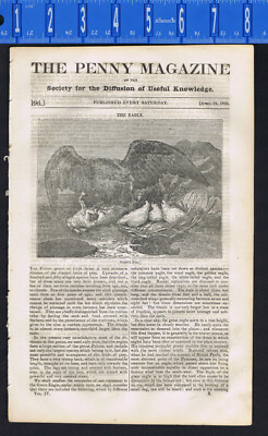 The Eagle- Russian Serf- Heidelberg-The Mineral Gold -Penny Magazine Apr 25 1835
