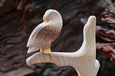 Ostheimer Seeadler, "Der König der Lüfte" als imposante, seltene Rarität 