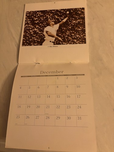 2000+ years- CHICAGO CUBS WALL (2) AND (7) MAGNETIC CALENDERS LOT - VG! - Picture 10 of 16