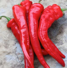 150ct Rattlesnake Hatch Pepper Seeds - Feel The Bite! Med Heat, Great Flavor!