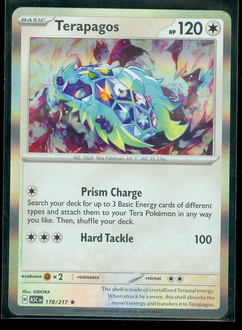 Pokemon TERAPAGOS 178/217 - Ascended Heroes - RARE HOLO - MINT