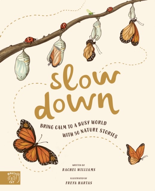 Slow Down by Rachel Williams (Hardback Book)