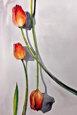Red Tulips Watercolor Painting A4 Flowers Shadow Modern Floral Minimalist Art