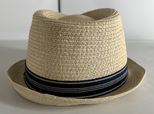 J.Crew crewcuts NWOT Fedora hat Beige Size L 41476 - Picture 4 of 7