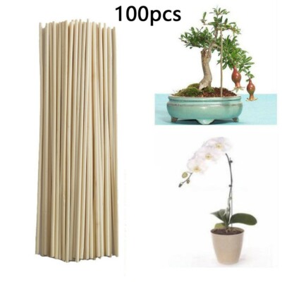 pajoma raumduft bambus Raumduft 100 ml, mit 10 Rattanstäbchen, verschiedene Sorten – Dein Duftreich main image 0