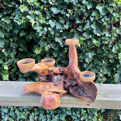 13'' Driftwood Root Burl Art Wood Mantel Sculpture Candelabra Natural Polished
