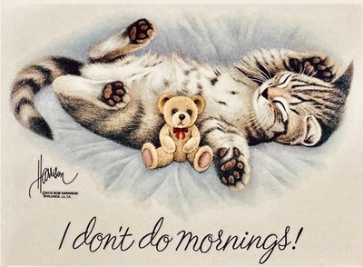 Kitty & Bear-I Don t Do Mornings NEW T-shirt w/ Vintage Graphic-MADE to ORDER