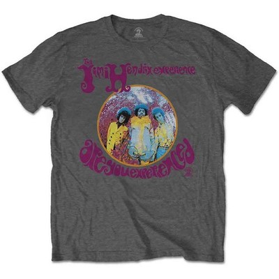Jimi Hendrix: Are You Experienced Grey T-Shirt (Officially Licensed) XX-Large